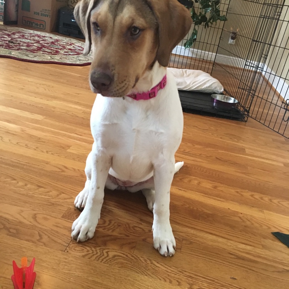 Meet your Posher, Angella